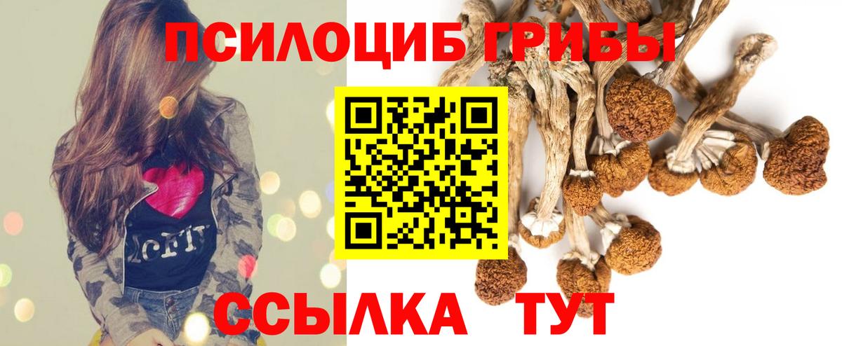 Галлюциногенные грибы Magic Shrooms  Вход с VPN  Псилоцибиновые грибы мицелий  Ярцево 